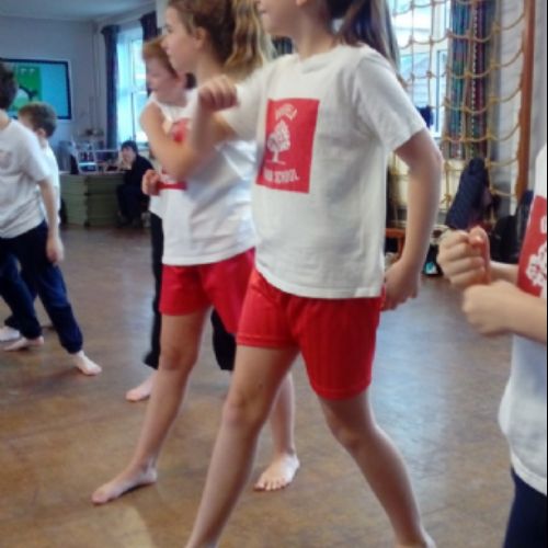 karate 7